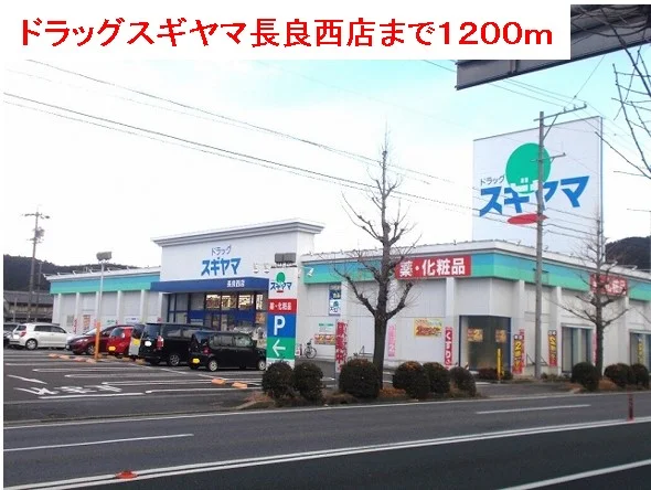 ドラッグスギヤマ長良西店まで1200m