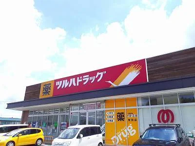 ツルハドラッグまで250m