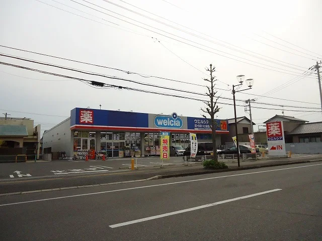 ウエルシア君津西坂田店まで300m
