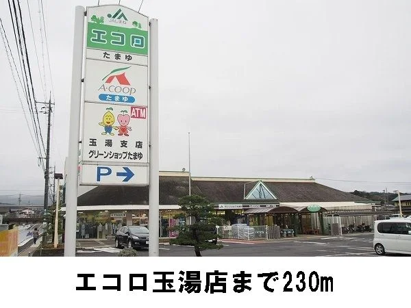 エコロたまゆまで230m