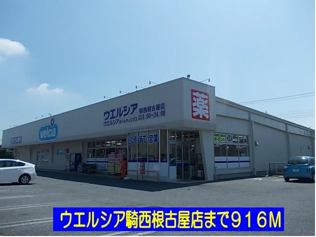 ウェルシア騎西根古屋店まで916m