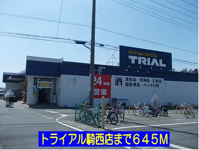 トライアル騎西店まで645m