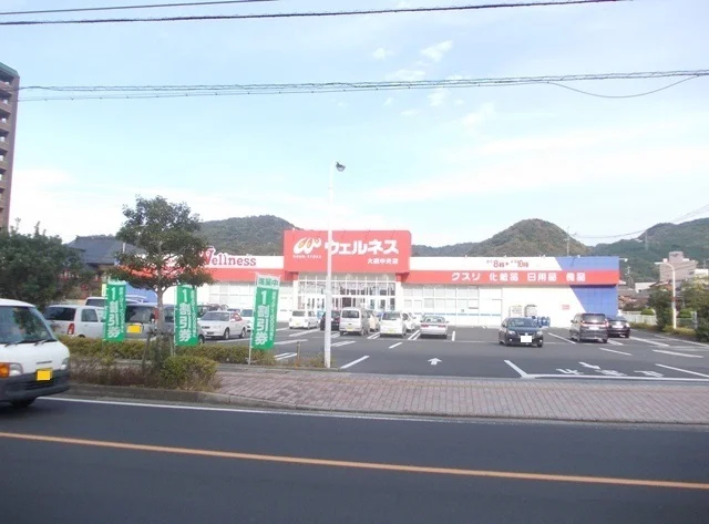 ウェルネス　大田中央店まで350m