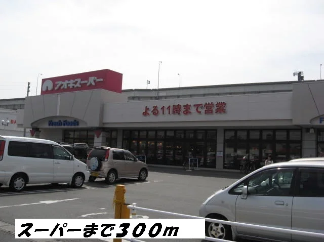 アオキスーパーまで300m