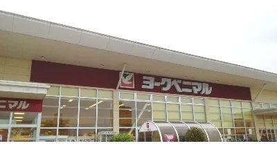 ヨークベニマル野田店まで1600m