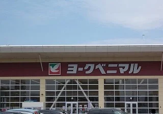 ヨークベニマル新田東店まで1700m