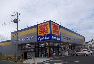 マツモトキヨシ新田東2丁目店まで1300m