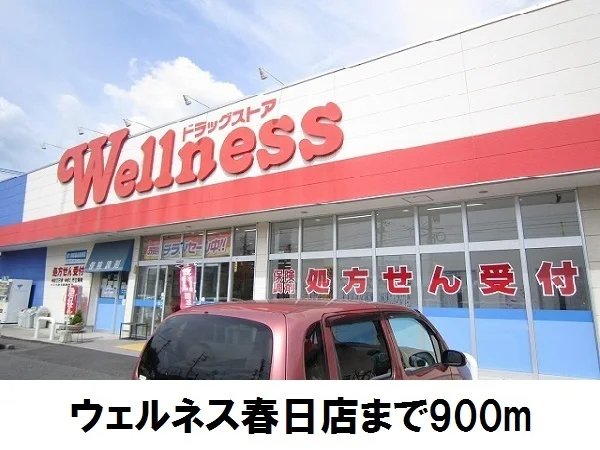 ウェルネス春日店まで900m