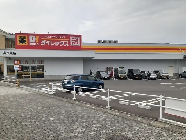 ダイレックス多良見店まで1086m