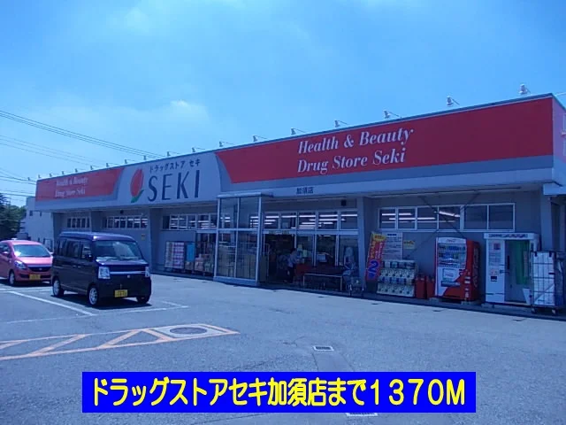 ドラッグストアセキ加須店まで1370m