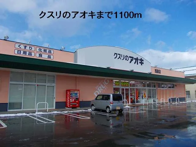 クスリのアオキまで1100m