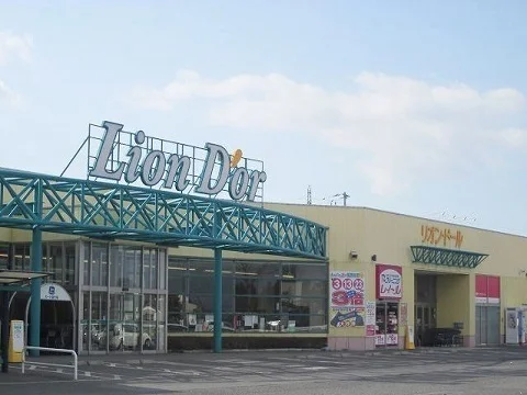 リオン・ドール 矢吹東店まで850m