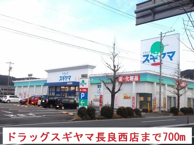 ドラッグ　スギヤマ長良西店まで700m
