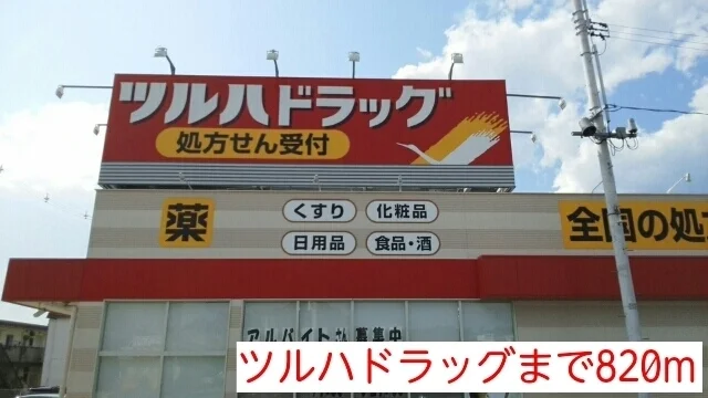 ツルハドラッグまで820m
