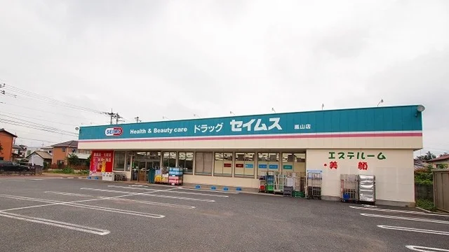セイムス嵐山店まで1100m