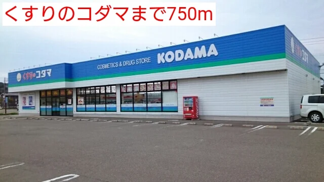 くすりのコダマまで750m