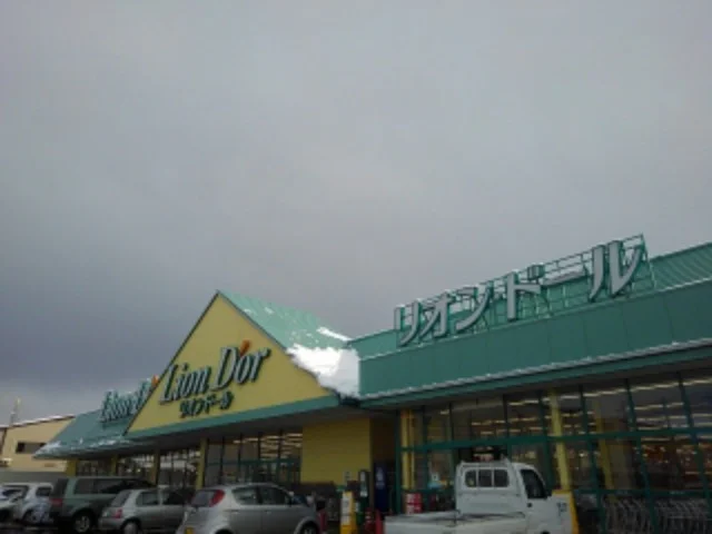 リオンドール大崎店まで1400m