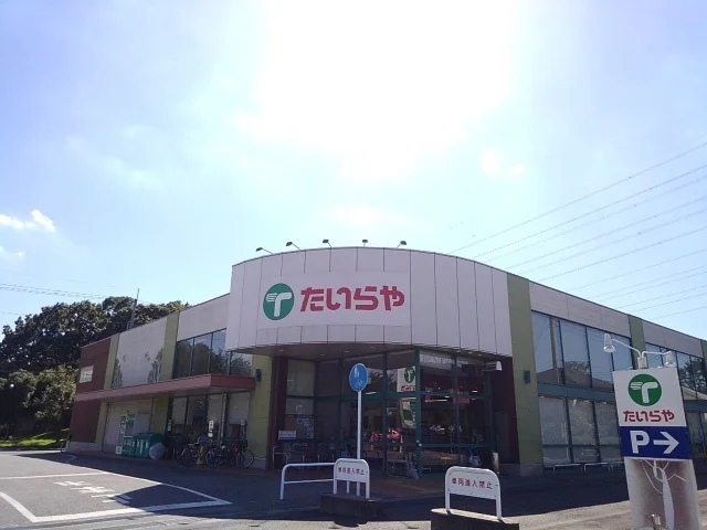 たいらや自治医大店まで300m