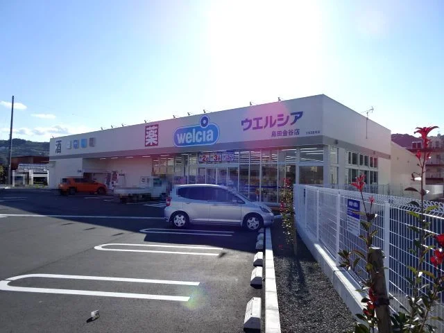 ウエルシア　金谷店まで2100m