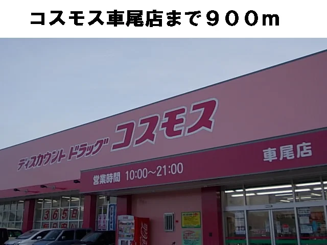 コスモス車尾店まで900m