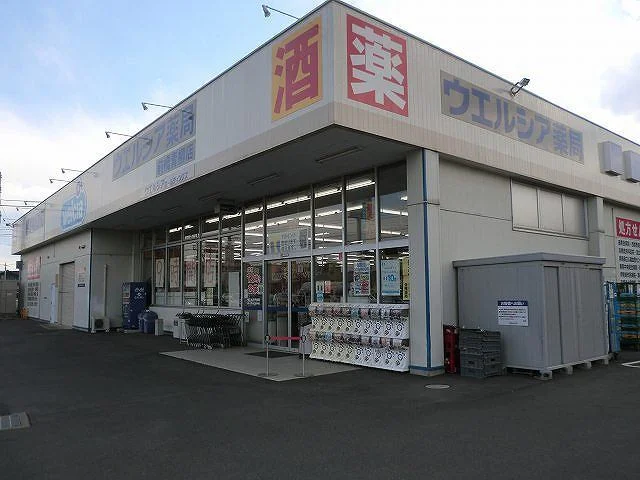 ウエルシア前橋青柳店まで500m