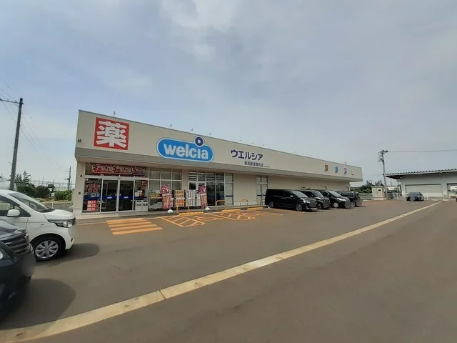 ウエルシア新津東町店まで300m