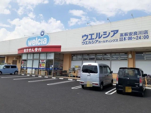 ウエルシア高萩安良川店まで1100m
