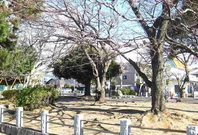藤井原公園まで750m