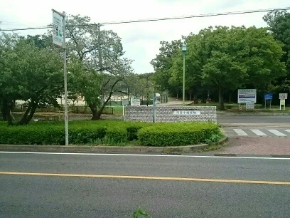 小幡緑地公園まで1200m