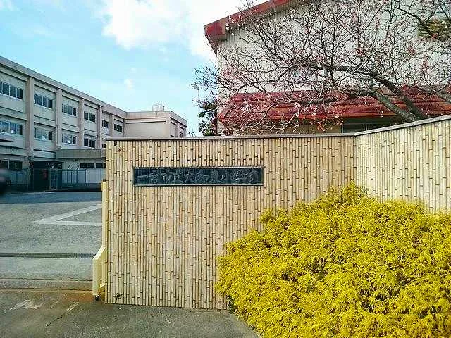 一宮市立　大和東小学校まで850m