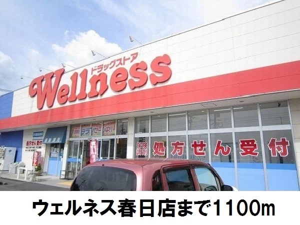 ウェルネス春日店まで1100m