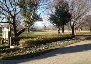 青葉の森公園まで730m