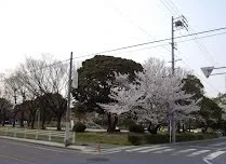 原崎公園まで1000m