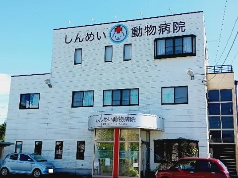 しんめい動物病院まで550m