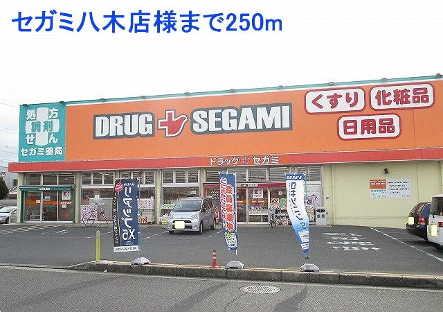 セガミ八木店様まで250m