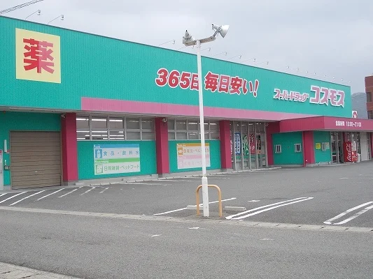 コスモス鳴門北店様まで1100m