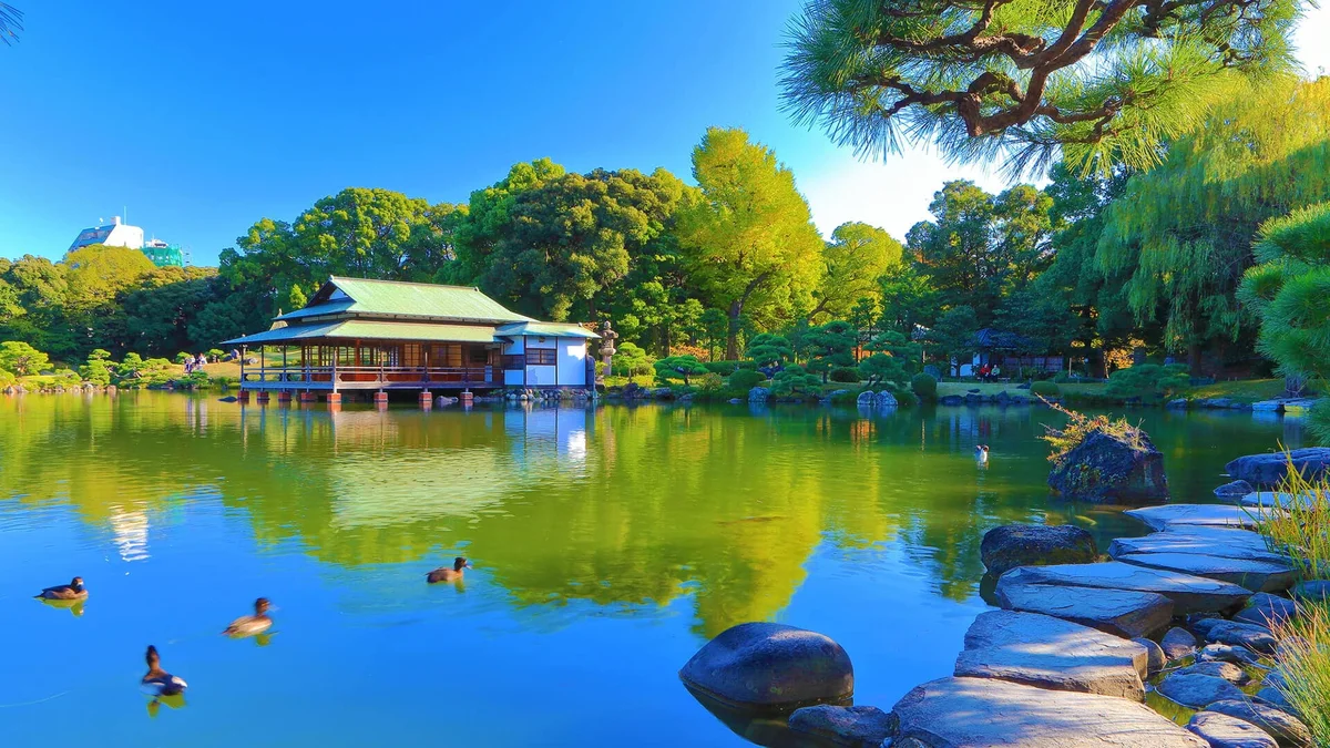 四季折々の景色を楽しめる清澄庭園