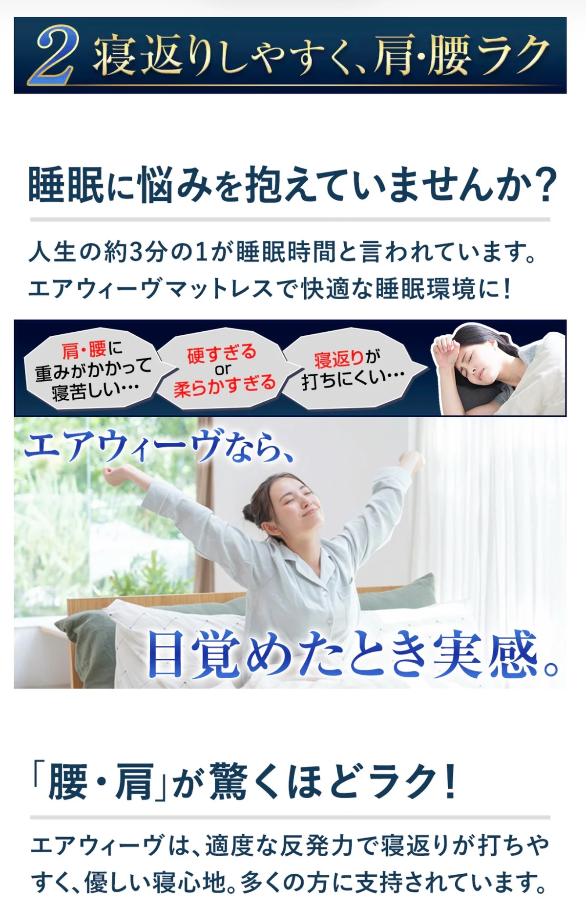 ベット