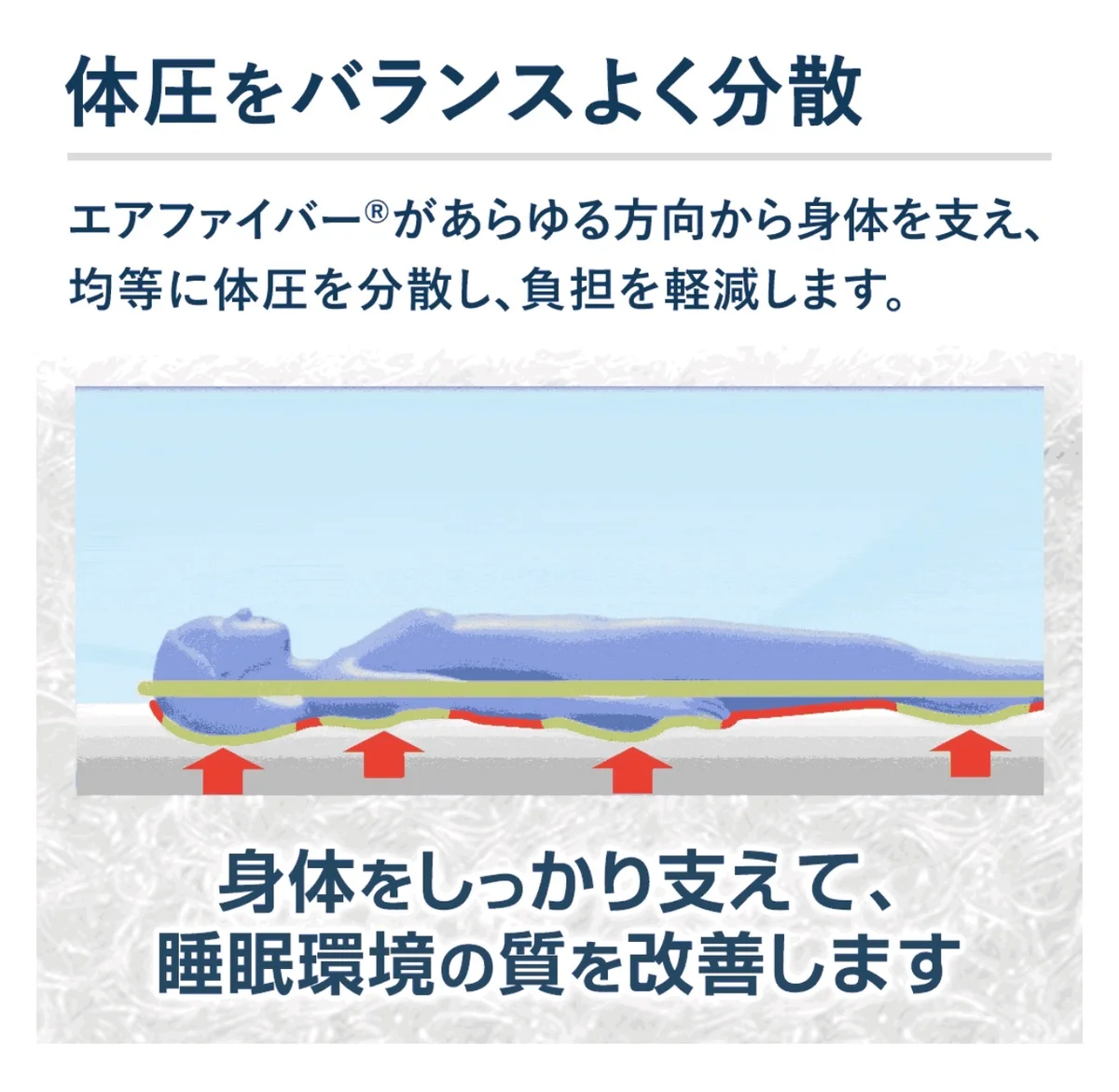 ベット