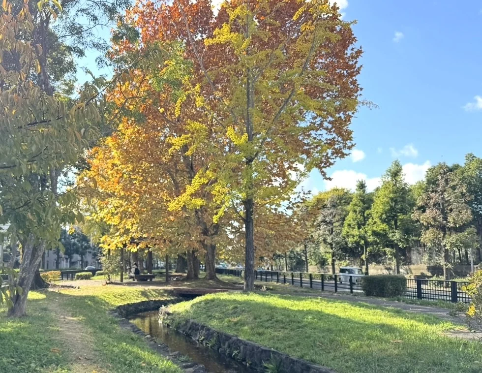 マンション前の公園