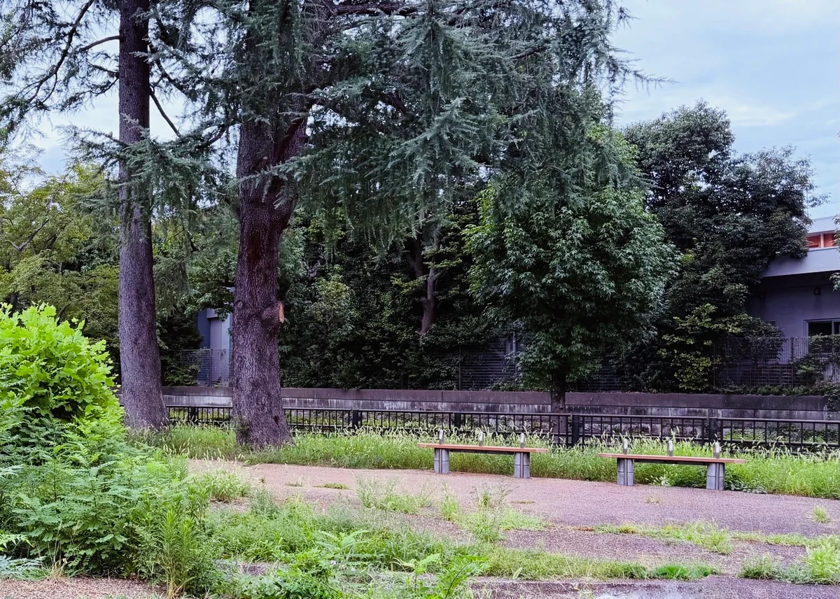 公園ベンチ　鳥のさえずりが聞こえます。