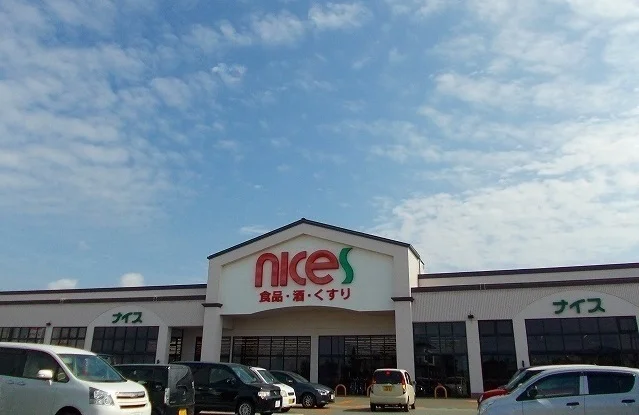 ナイス 仁井田南店まで600m