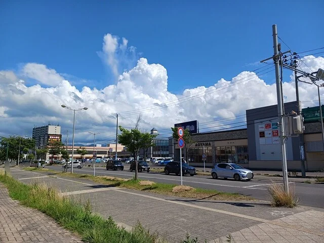 ドリームタウンＡＬｉまで1300m