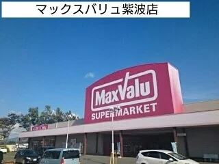 マックスバリュ紫波店まで1100m