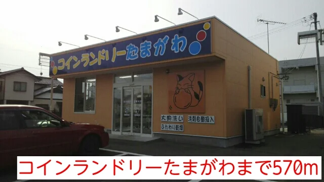 コインランドリーたまがわまで570m