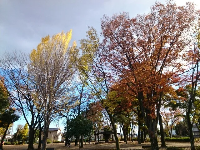 くじら森公園まで280m