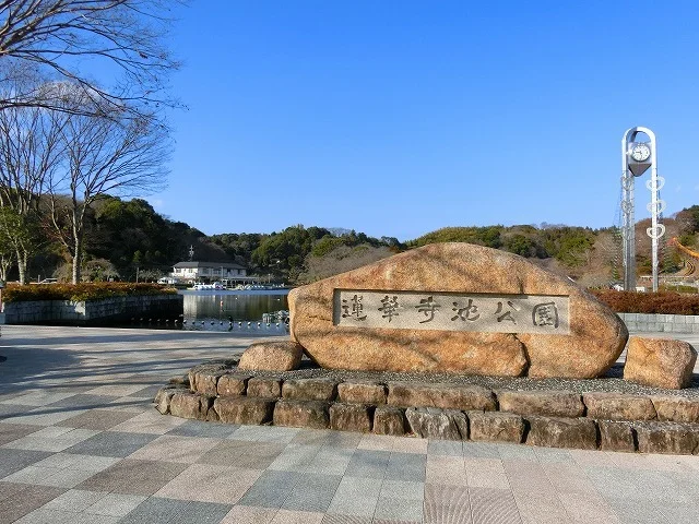 蓮華寺池公園まで700m