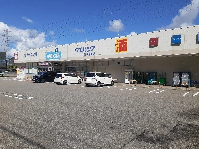ウェルシア高岡京田店まで800m