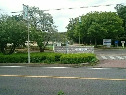 小幡緑地公園まで1100m