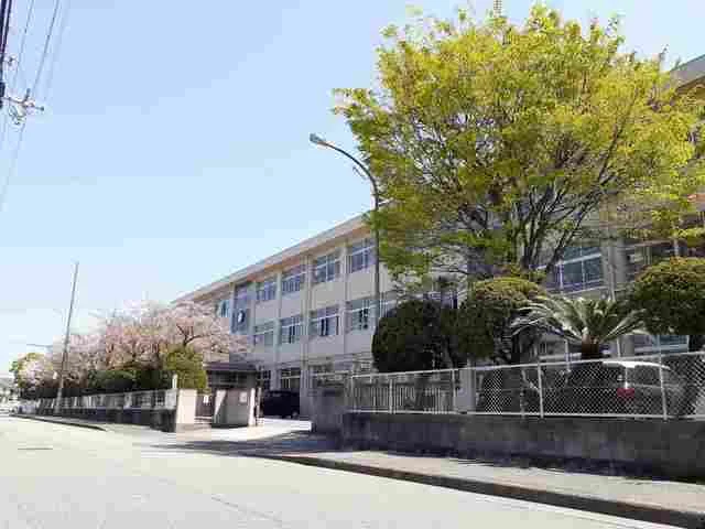 鳩里小学校まで1131m